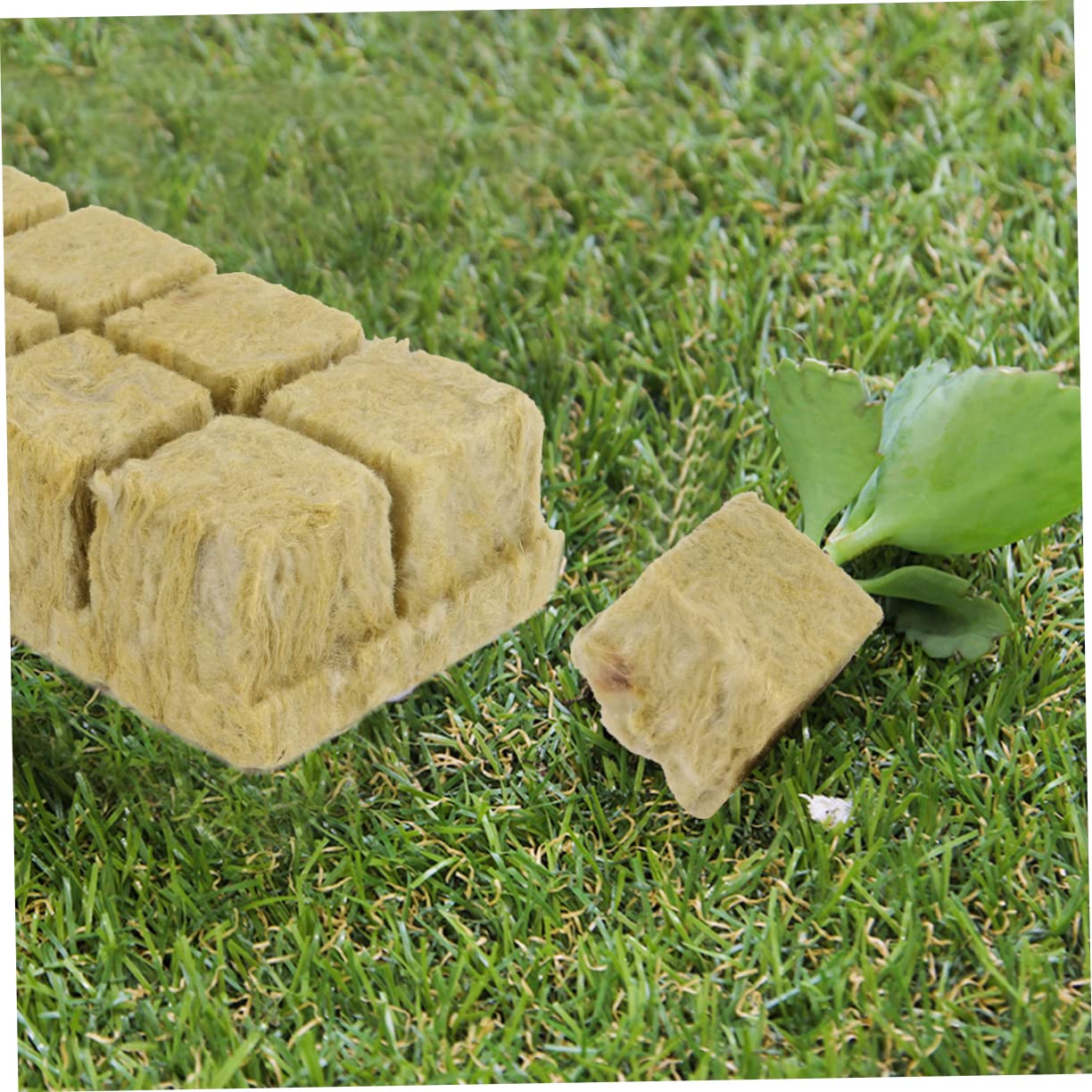Bloques de Lana Material Limpio y Sanitario para Cultivo Hidropónico sin Suelo 8 Piezas de 1,5 Pulgadas Adecuado para Jardinería y Cultivo de Plántulas