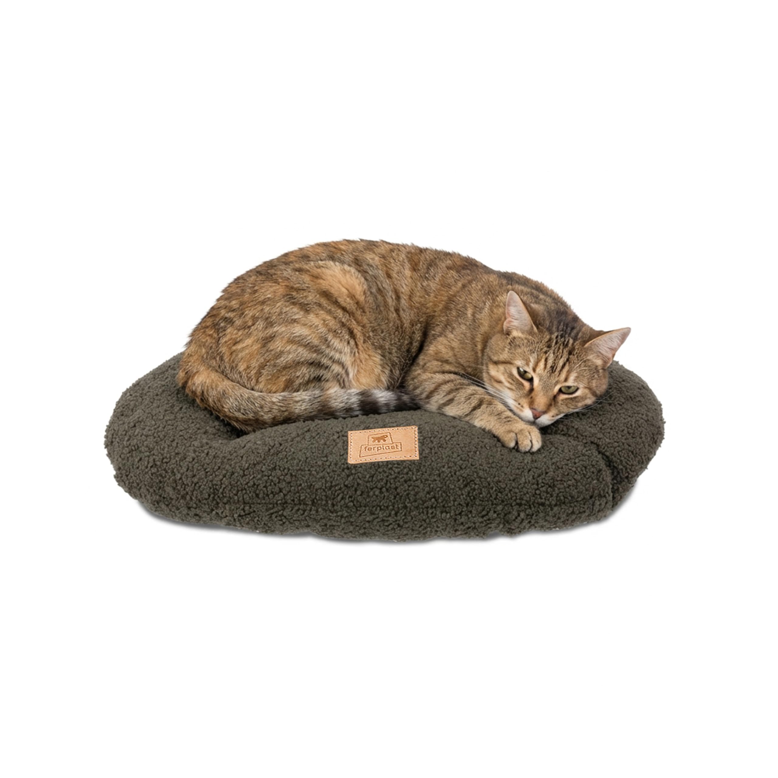 Ferplast Dog Bed Cushion for Small Dogs, Cat Bed, Washable Synthetic Bouclé Fabric, Soft Padding, 55 x 36 xh 3 cm. Green
