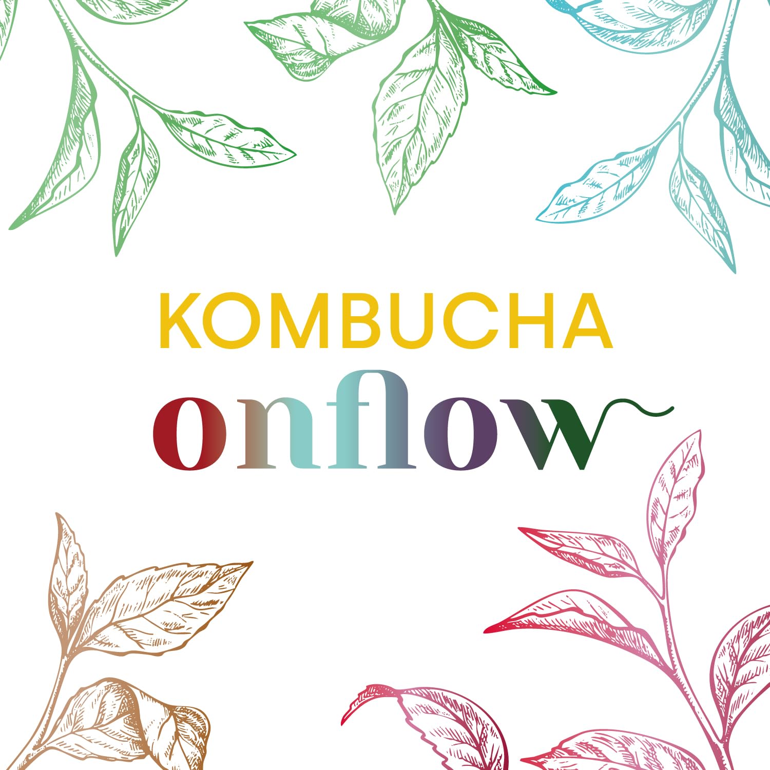 Kombucha Natural Onflow Sin Azúcar Pack 4 Botellas 1L Sabores Jenjibre-Limón Té Verde Mango-Remolacha Melón-Espirulina