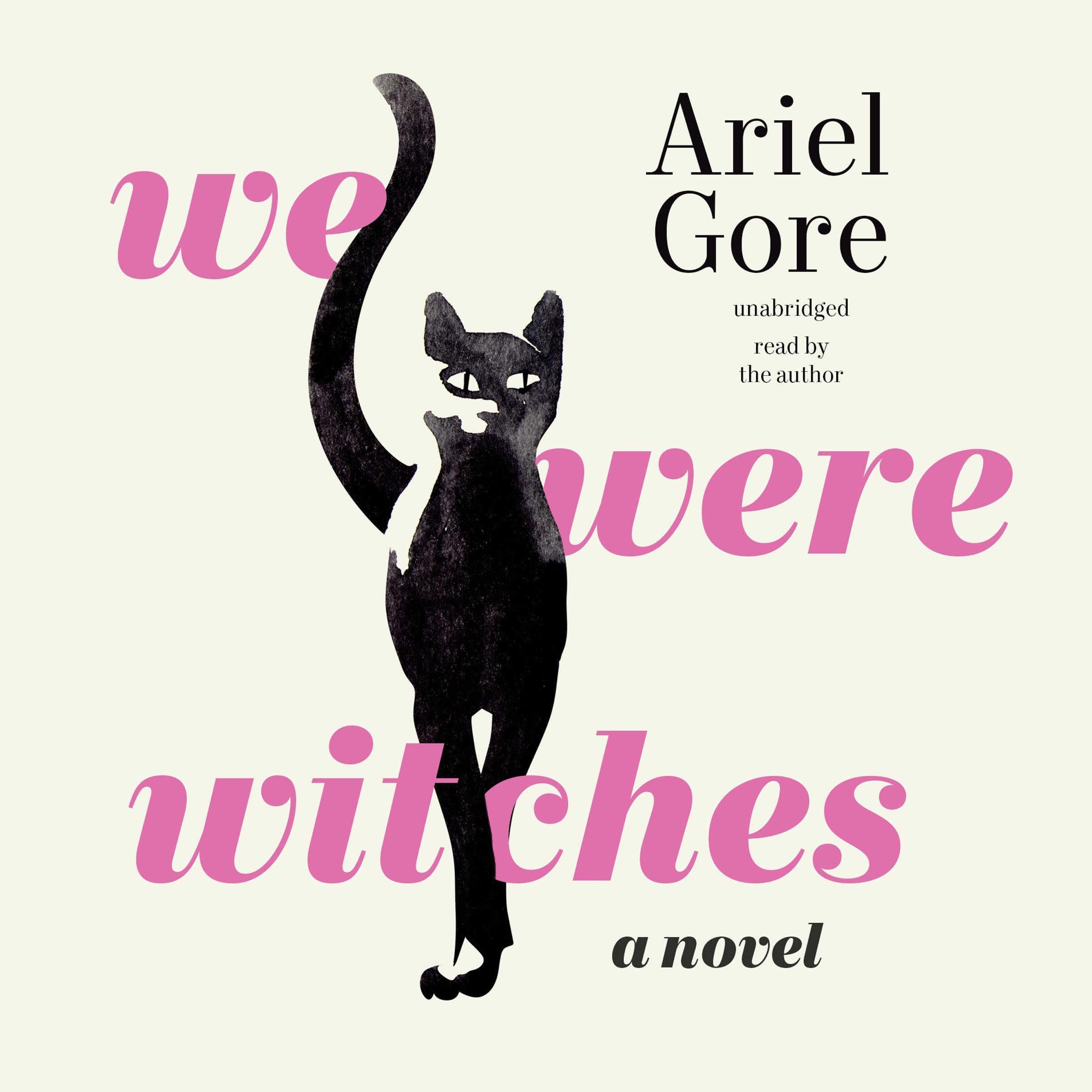 Cover art for We Were Witches