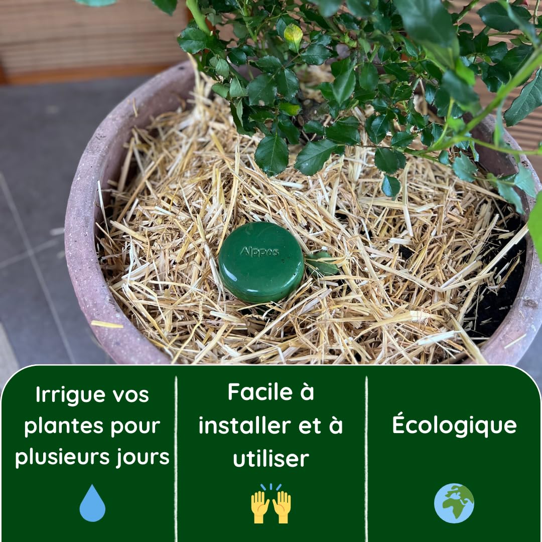 Oyas à enterrer 1 Litre en Terre Cuite avec Couvercle - ollas pour Plante intérieure et extérieure système d'irrigation par capilariter (2, Vert)