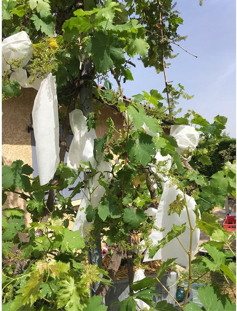 100pcs Reusable Garden Fruit Protection Bags - Waterproof Non-Woven Fabric Mesh for Apples, Pears, Oranges, and More(250mm*300mm)