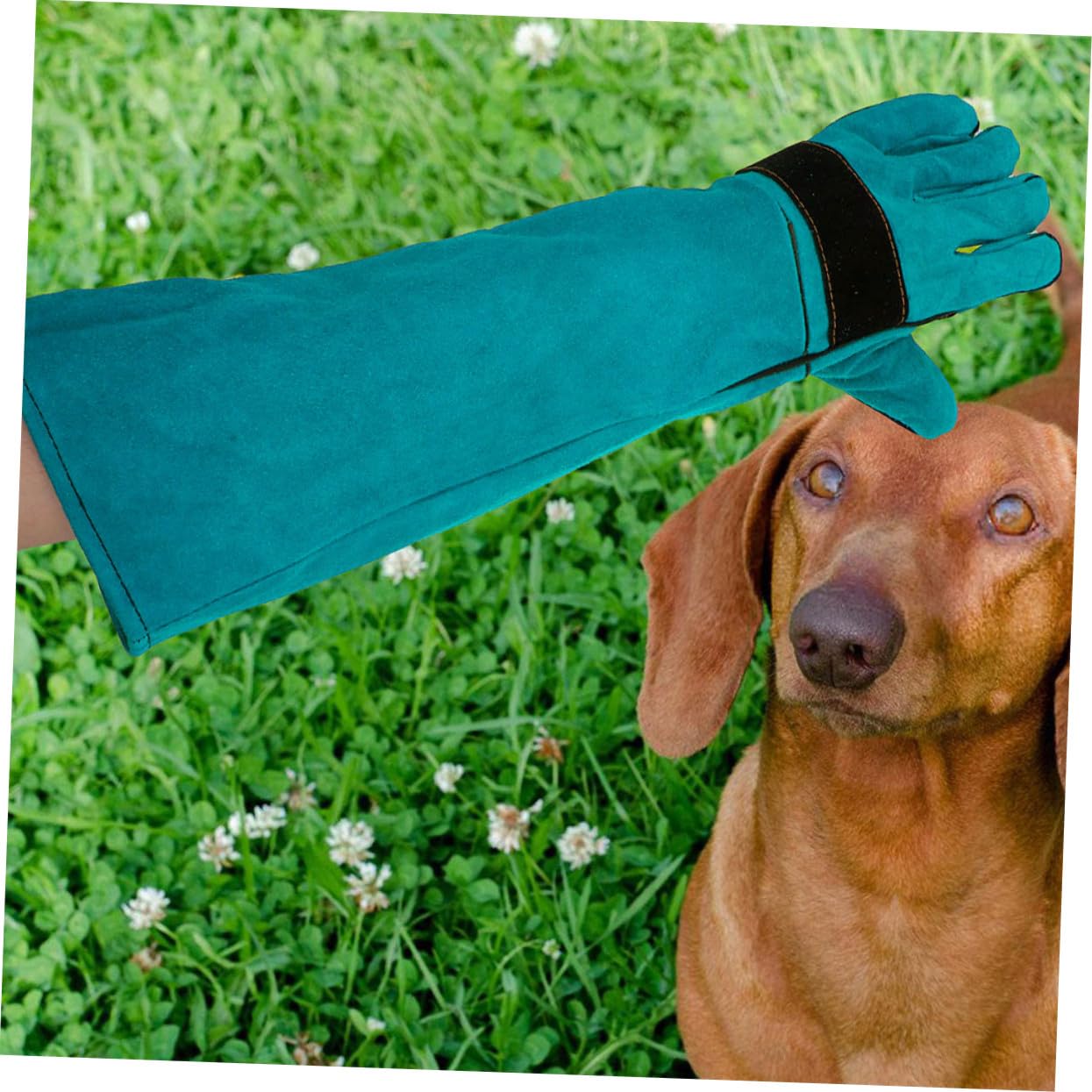 Artibetter Guantes Protectores Anti-mordeduras para Mascotas de Cuero Sintético Mangas Largas Ergonómicos y Resistentes para Manejo y Baño de Perros y Gatos Azul