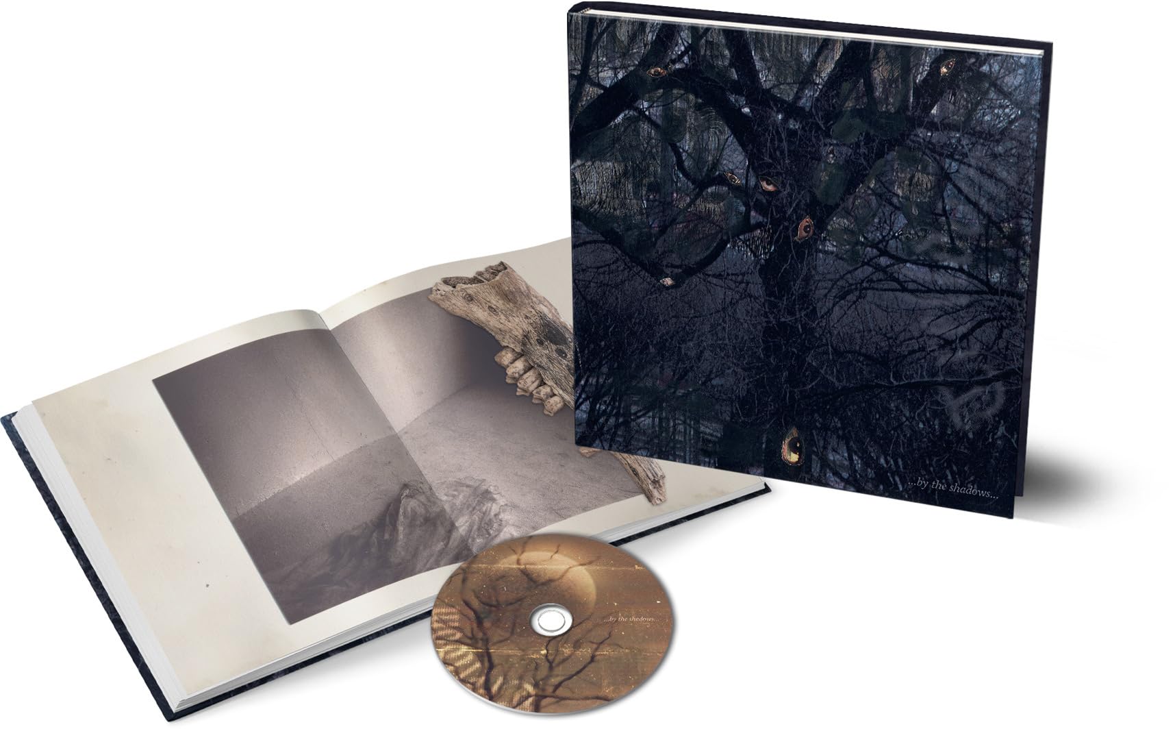 ...By the Shadows... (Hardcover Book)