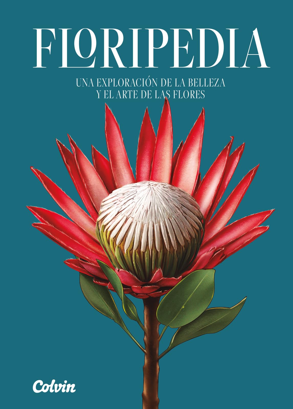 Floripedia: Una Exploración de la Belleza Y El Arte de Las Flores