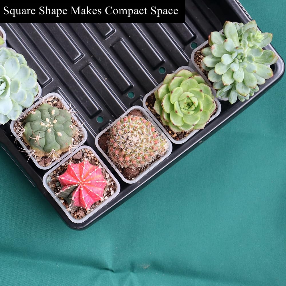 Lot de 120 petits pots de semis carrés en plastique transparent de 6,1 cm avec trou de drainage pour germination, herbes et plantes grasses