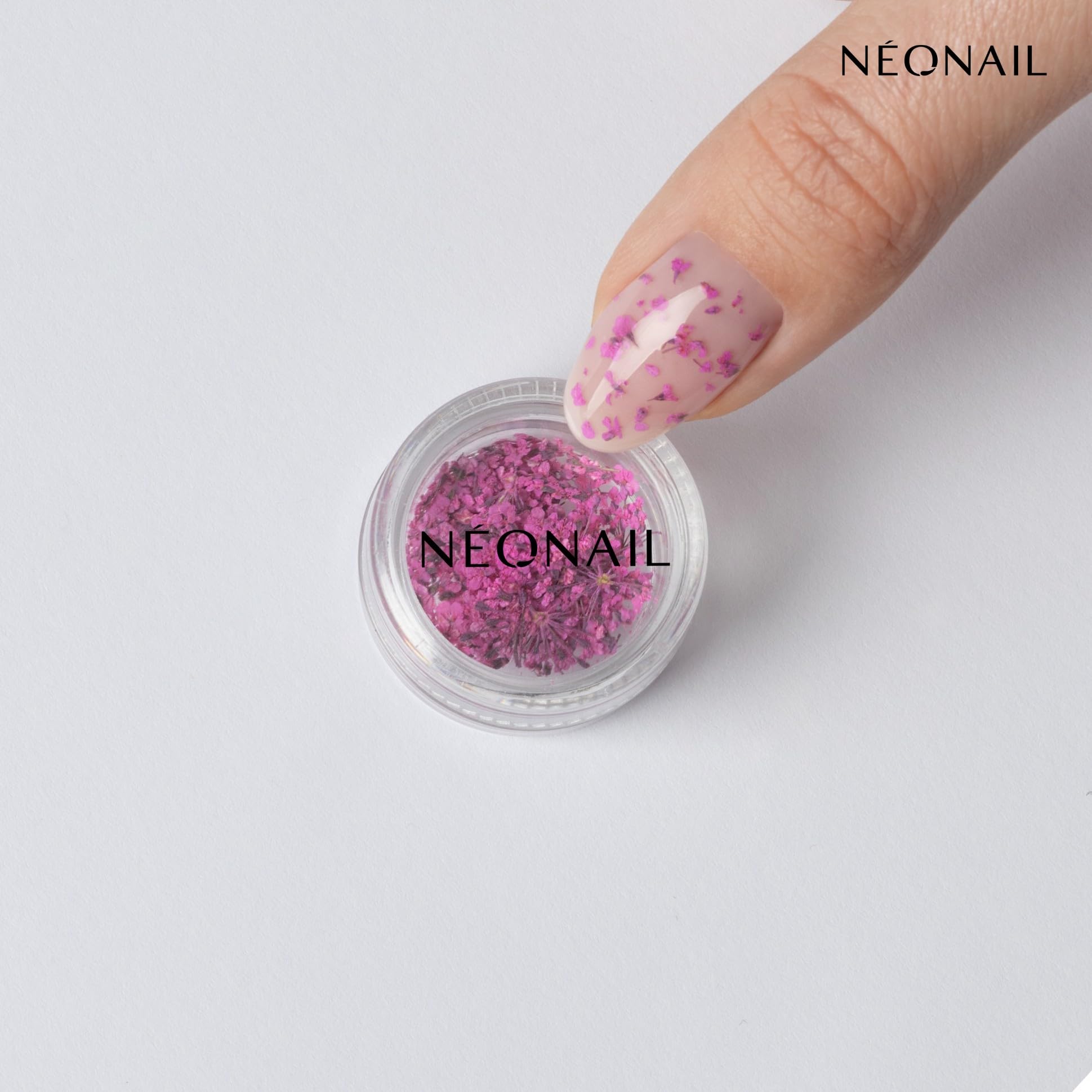NEONAIL Fleurs Séchées - Set de décoration d'ongles - Nail Art Ongles - Deco Ongle Nail Art - Accessoire Ongle - 3 couleurs - rose, violet, orange