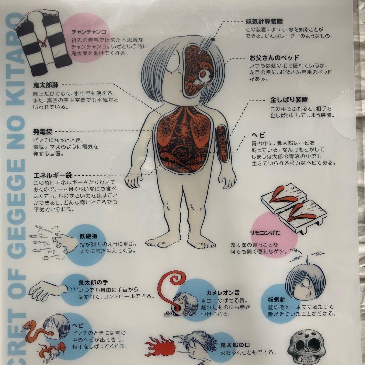 Amazon.co.jp: ゲゲゲの鬼太郎 水木しげる クリアファイル 目玉おやじ