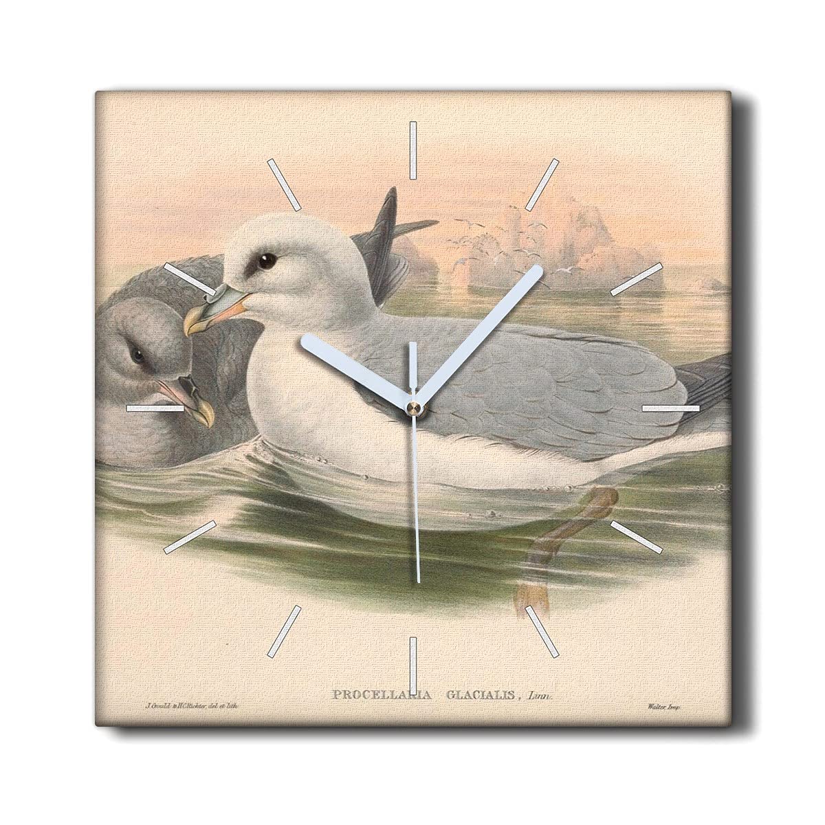 Horloge Murale sans Tic-Tac Toile 30x30 cm Animaux Déco Salon Silencieuse