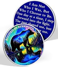 Rooted in Strength Sobriety Coin – Bear & Aurora Design | AA Coin with Token Capsule, Sobriety Gifts for Men & Women, Alcohol Free Anniversary Celebration Gift