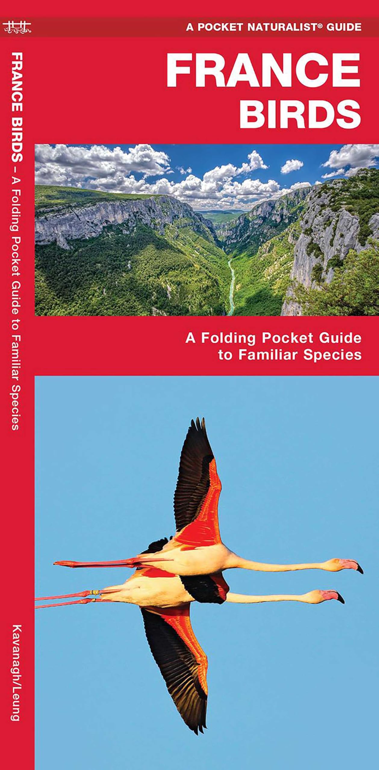 France Birds: A Folding Pocket Guide to Familiar Species (Pocket Naturalist Guide) (Wildlife and Nature Identification) (Nature Observation International)
