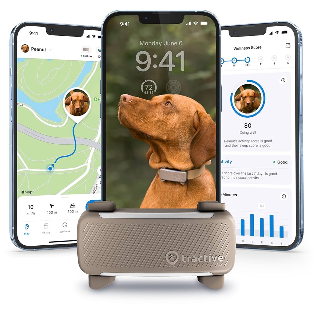 Tractive Smart Dog Tracker | 2025 Edition | Real-time GPS Tracking | Escape  & Health Alerts | Vitals Monitoring | Market Leader (Brown) : Amazon.co.uk:  Pet Supplies