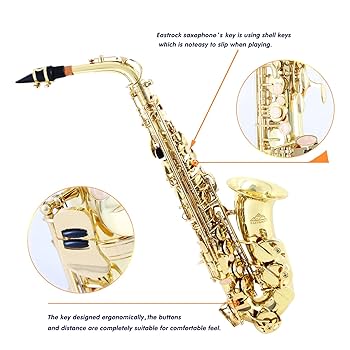 Amazon.com: EASTROCK Alto Saxophone Gold E Flat Sax Full Kit