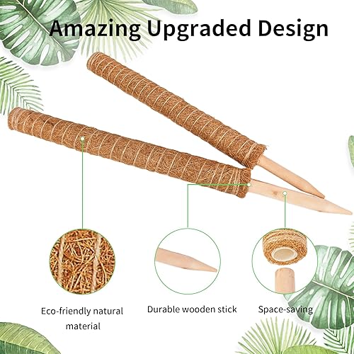 Miniatura 5 de JJGoo Poste de musgo para plantas Monstera, paquete de 2 postes de soporte de plantas de 23.6 pulgadas, poste de tótem de coco extensible para