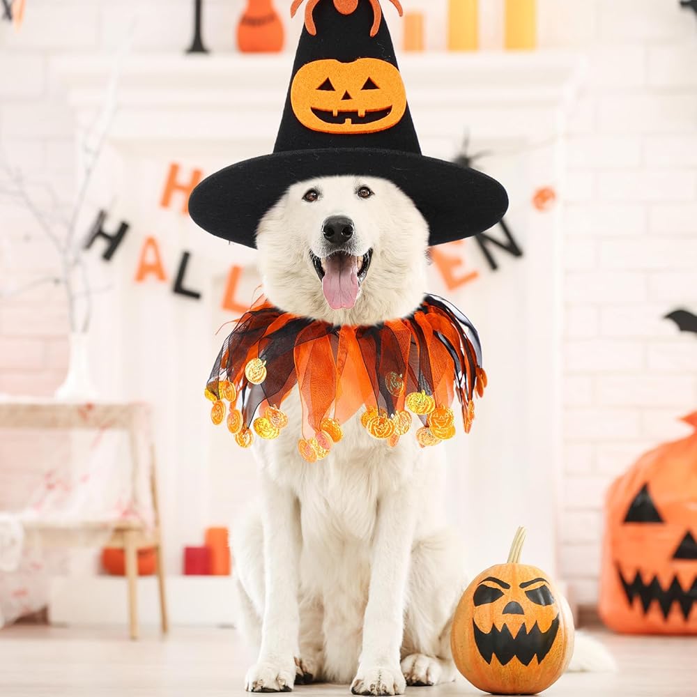 6-Piece Halloween Pet Costume Set with Witchy Style view 5