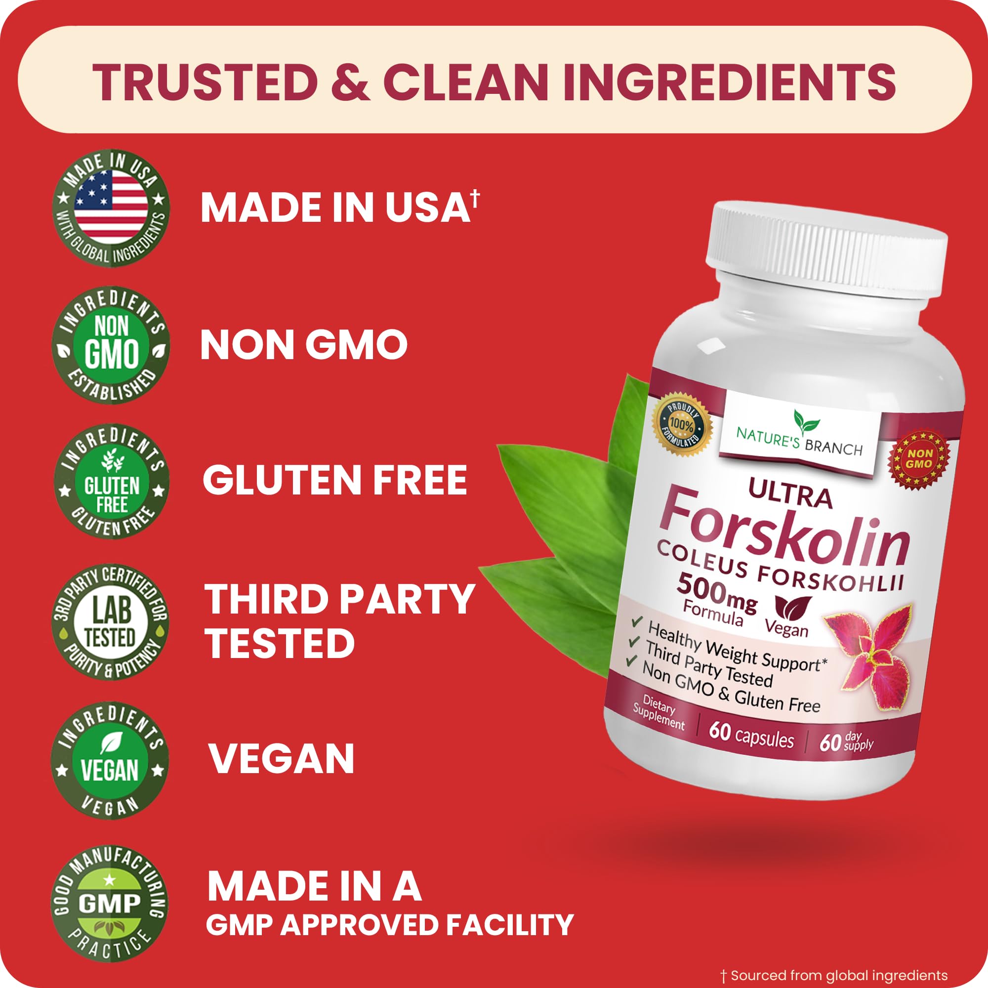 Ultra Forskolin Supplement 500mg, Coleus Forskohlii for Weight Management — Amazon image 8