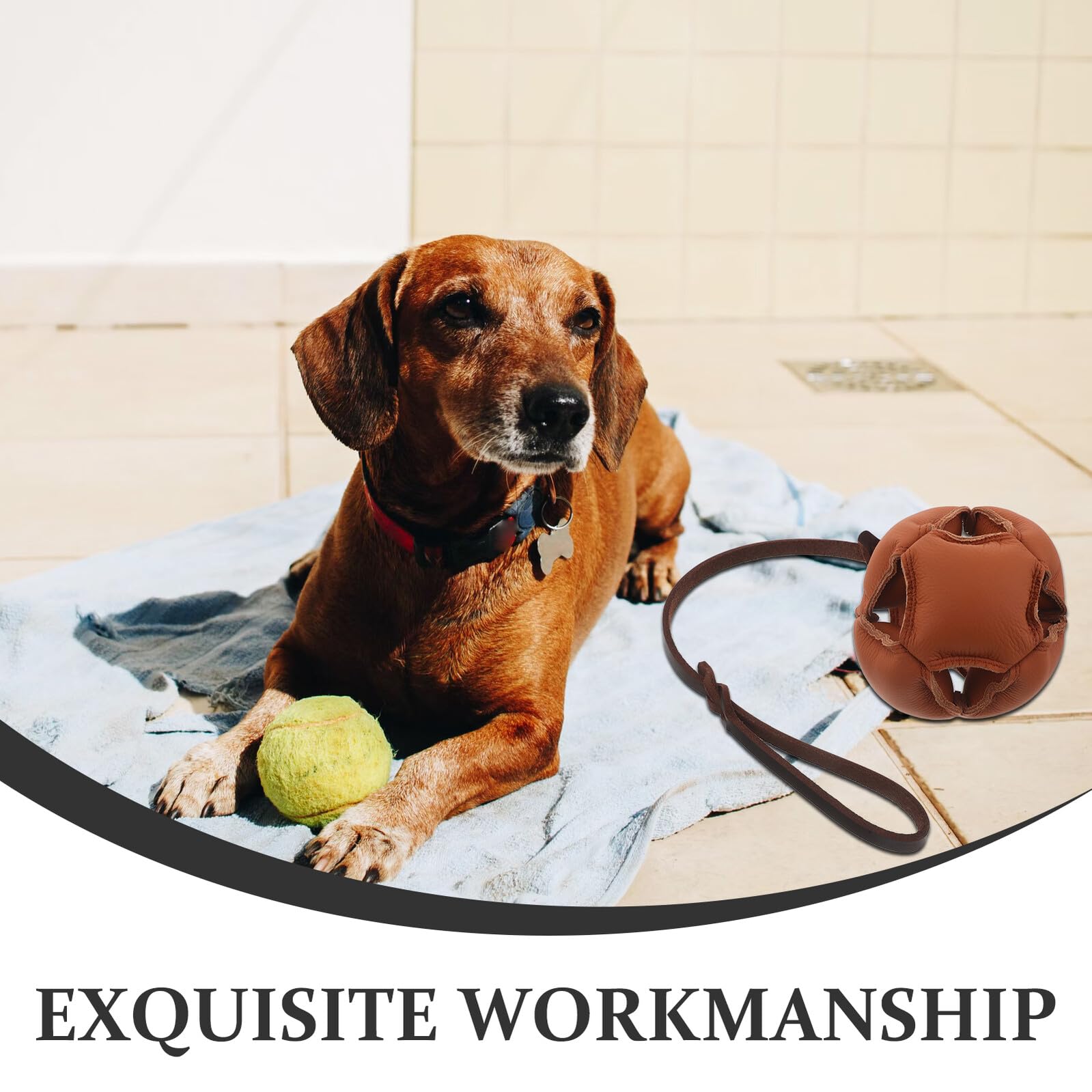 Pelota para Morder Perros de Juguete de Masticación para Cachorros Bola de Entrenamiento para Perros Medianos y Grandes para Aire