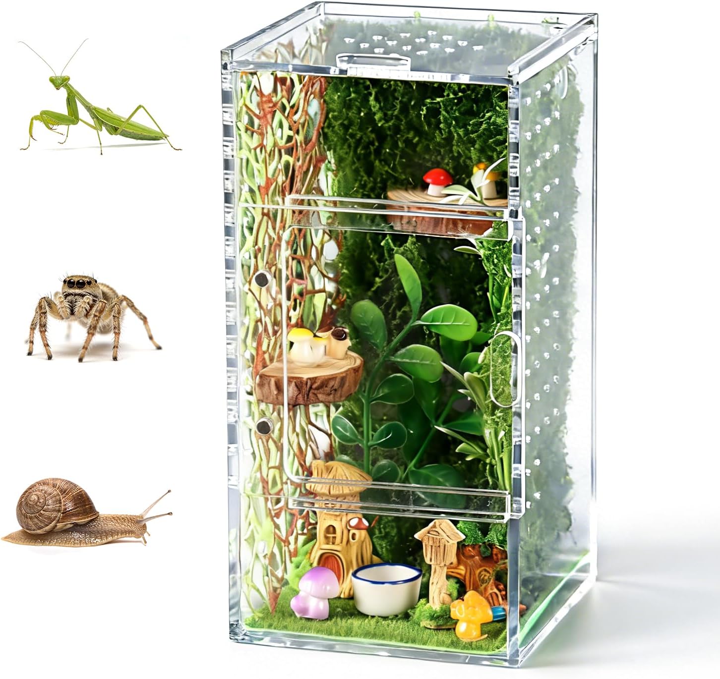 Jumping Spider Enclosure, Small Acrylic Reptile Terrarium Kit, Ventilation Bug Habitat with 30 Pcs Jumping Spider Accessories for Tarantula Praying Mantis Lizard Frog, 4" x 4" x 8"