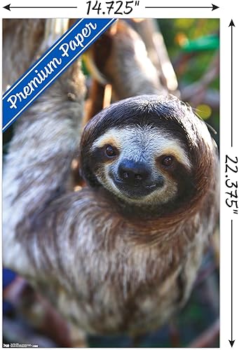 Miniatura 3 de Trends International Sloth - Póster de pared de sonrisa, 14.725 x 22.375 pulgadas, versión premium sin marco