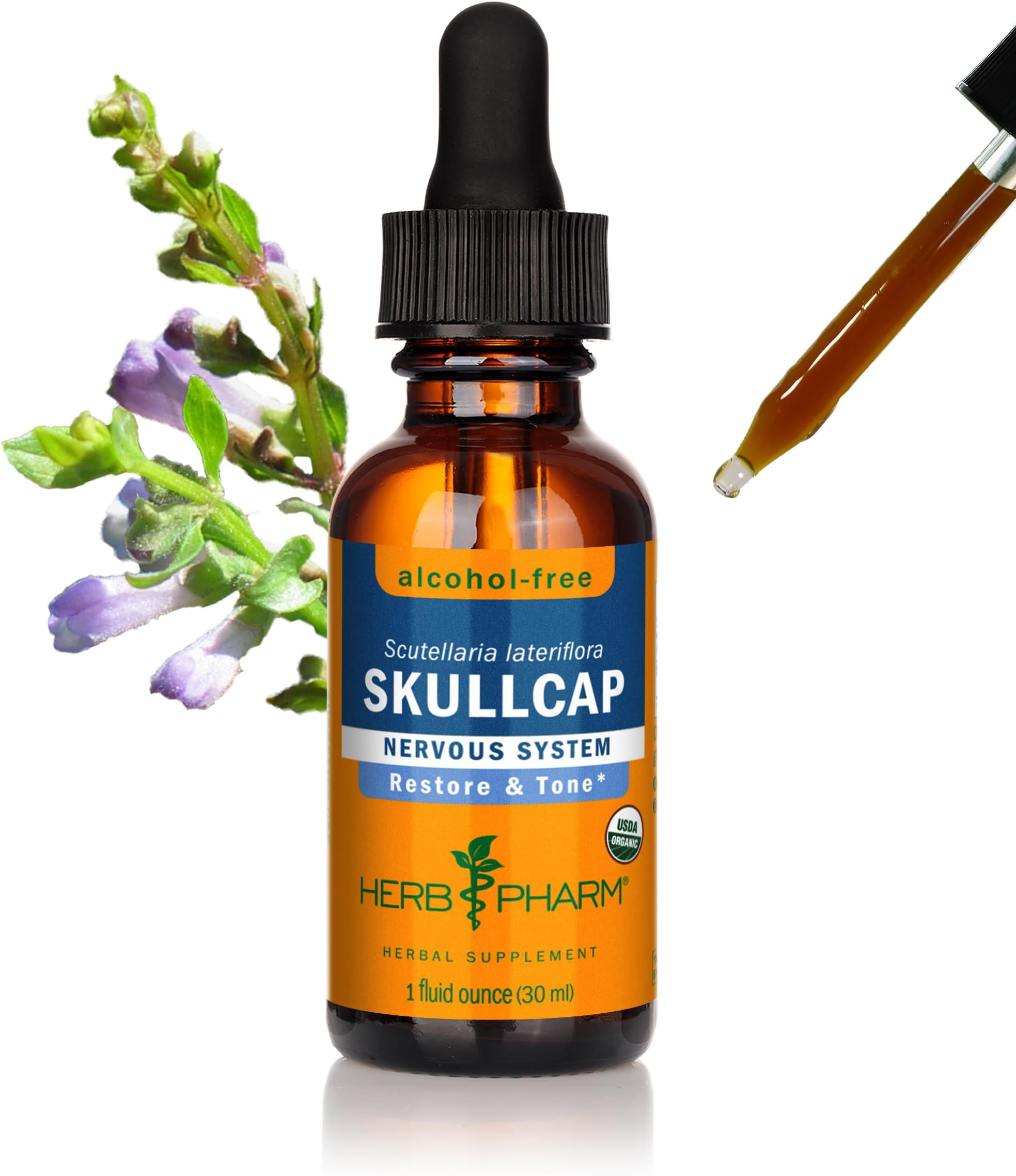 HERB PHARM Certified Organic Skullcap Liquid Extract for Nervous System Support, 1 Fl Oz
