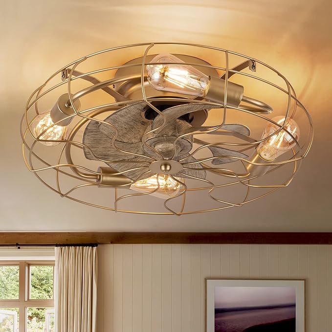 DIDER 21" Low Profile Caged Ceiling Fan with Lights Remote Control