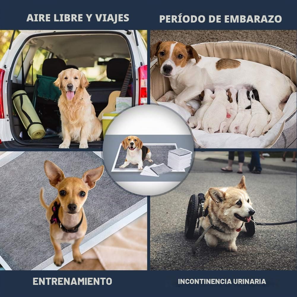Dono Pañales Almohadillas de Entrenamiento para Mascotas Absorbente, para Inodoro, 4 Tamaños (S-100 Count)