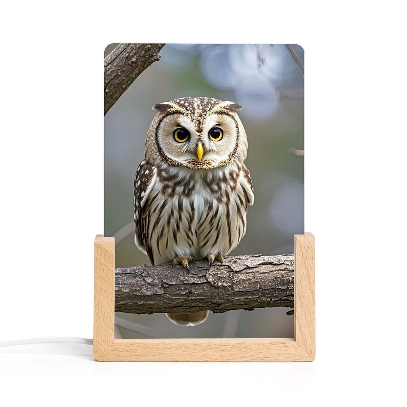 JTREHY Acrylic Night Light,Cute Owl Printed Wooden Base LED Night Light Modern Home Decoration Light with USB Switch Cable for Bar Cafe Bedroom Room Decoration