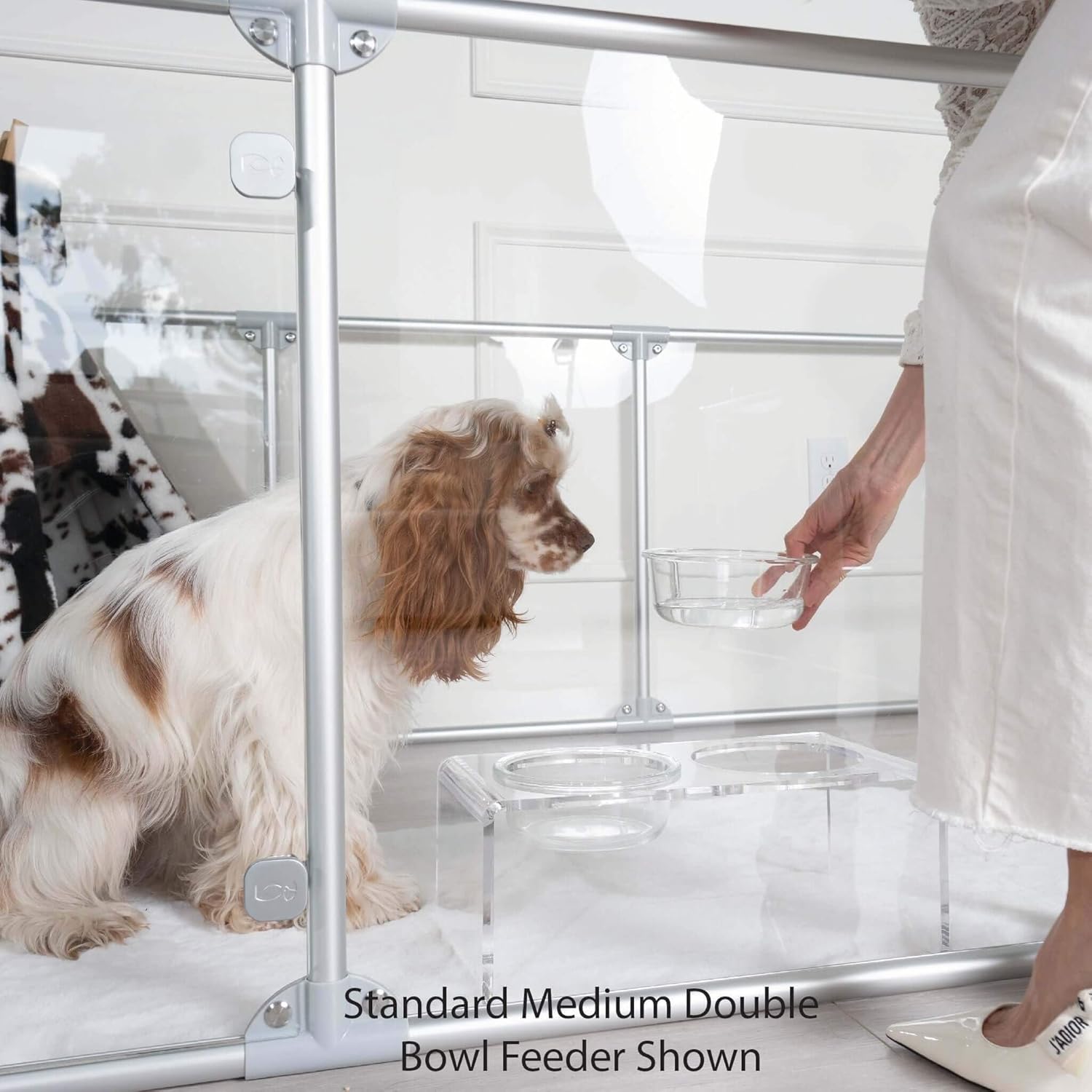 Clearly Loved Pets Modern Acrylic Glass Bowl Feeders, Angled Style, Single Bowl, Clear