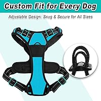 Vista 7 de BARKBAY - Arnés ajustable para perros, de material Oxford reflectante 3M, con arnés sin tirones, para perros pequeños, medianos y grandes, se