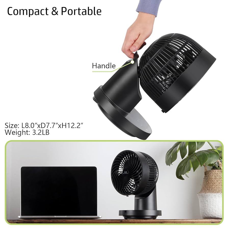 Amazon.com: C G CHANGEEK Fan for Bedroom, 25dB Ultra Quiet 8