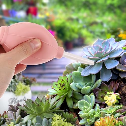 Miniatura 5 de YARNOW Juego de 6 herramientas de mano para jardín, suculentas, herramienta de trasplante de suculentas, juego de herramientas para el cuidado de