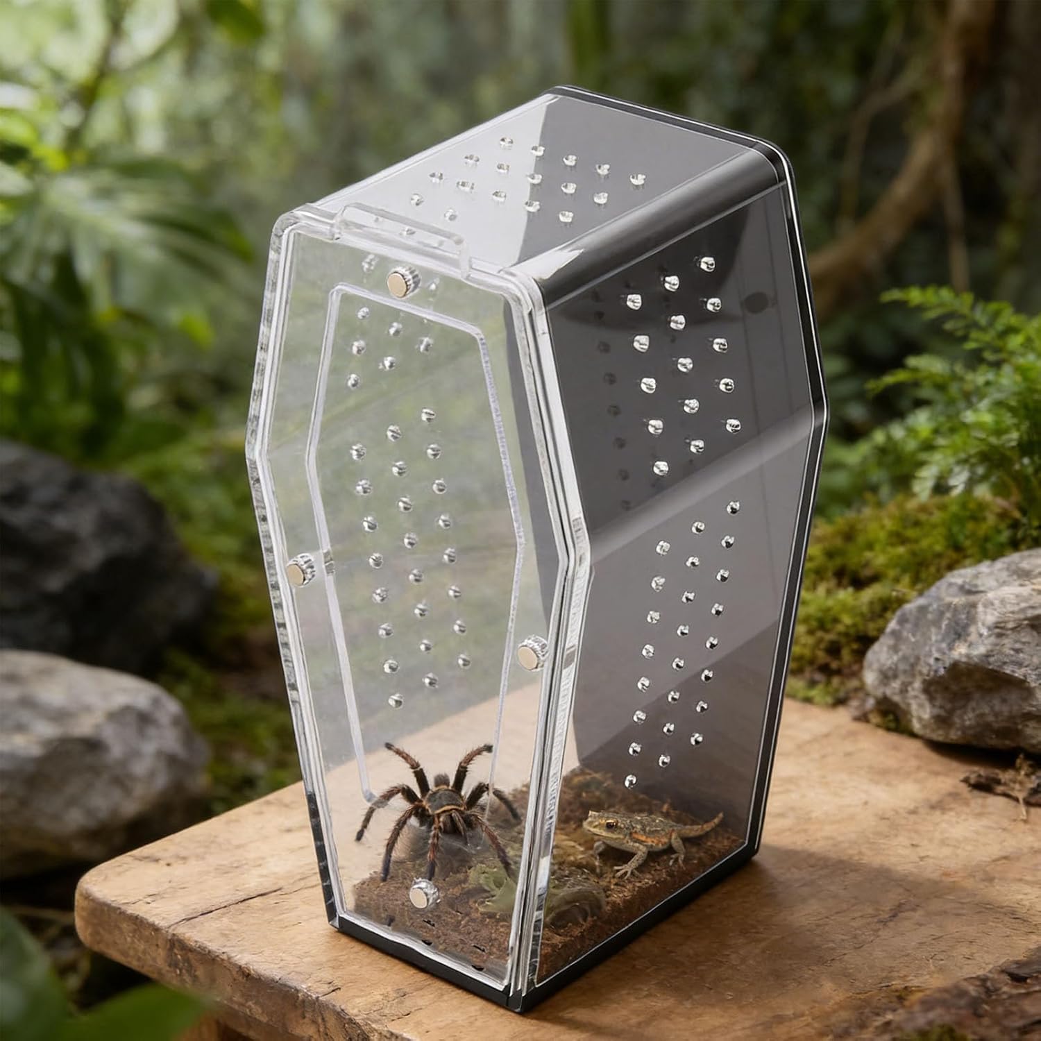 Diydeg Jumping Spider Enclosure, Acrylic Coffin Shape Reptile Terrarium with Ventilation Holes, for Jumping Spiders Small Reptiles Insects Tarantula Beetle, 5.1x6x9.5 Inches