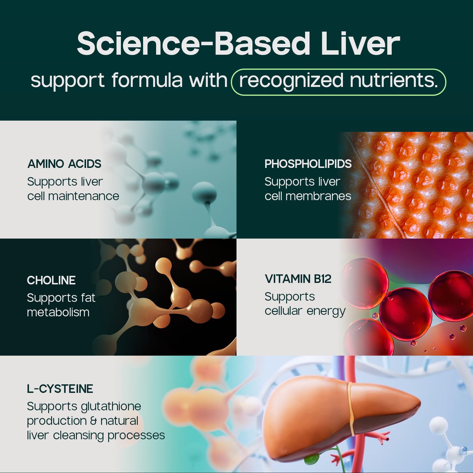 LIVERITE Liver Aid - Liver Support Supplement - 120 Tablets — Amazon image 6