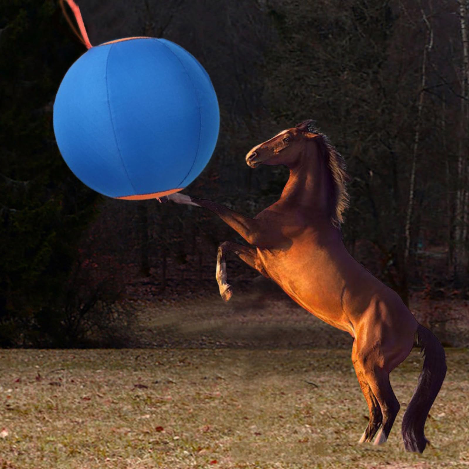 Hundespielball zum Hüten Hund Φ25cm/45cm/55cm Besonders stabil und langlebig Interaktiv Hundespielzeug mit Pumpe Aufblaswerkzeug Training Spielzeug Großer Hund Hundespielball zum Hüten für Haustier