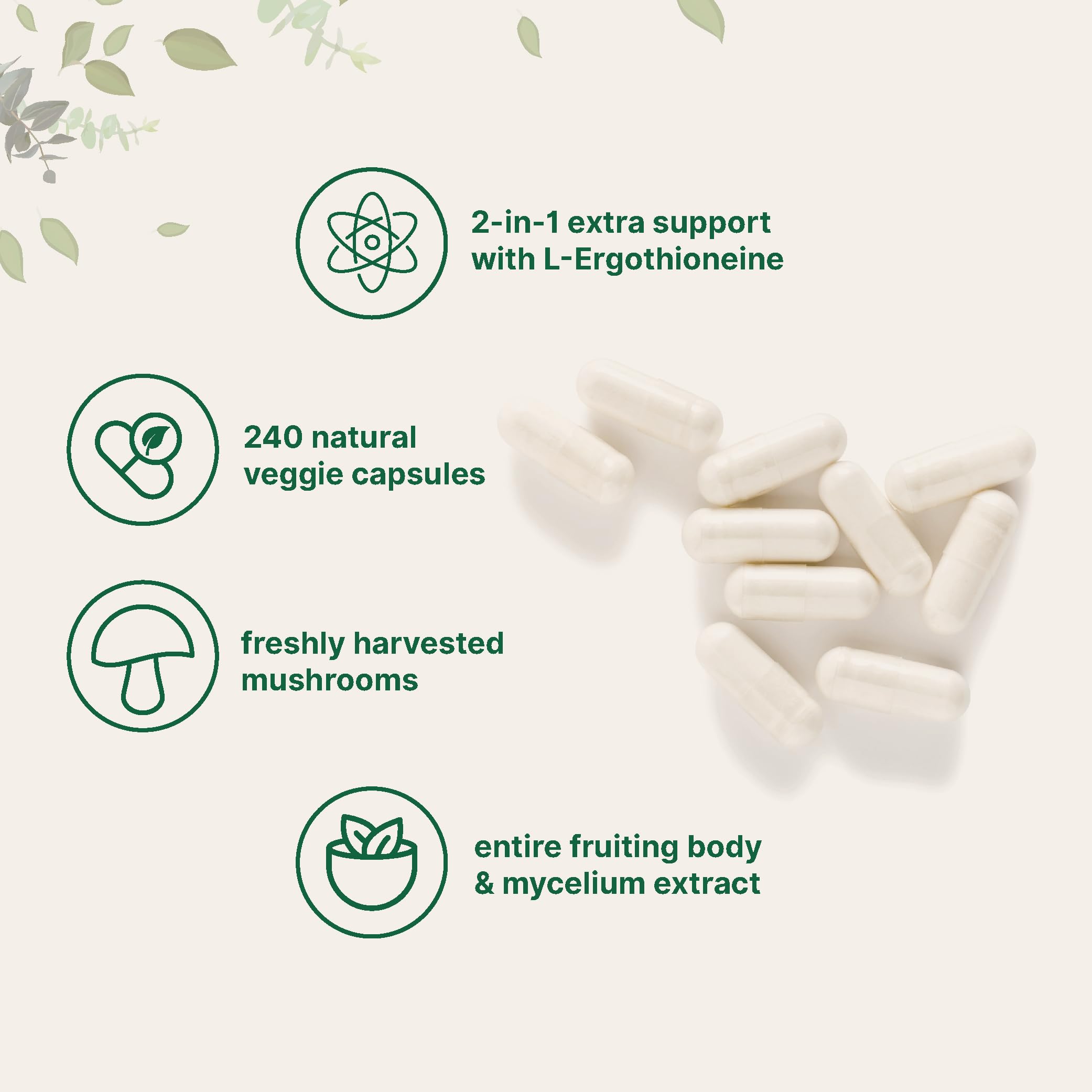 Micro Ingredients Lion’s Mane Extract with L-Ergothioneine, 240 Veggie Caps — Amazon image 3