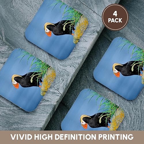 Miniatura 6 de 3dRose Puffin, en un acantilado - Alaska. - Posavasos suaves, juego de 4 (CST_206699_1)