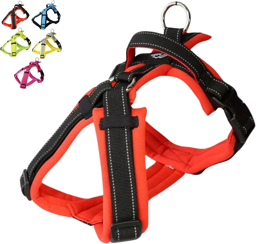 犬伏 full of vigor 犬 服 伸びて 着せやすい ドッグプレイ(R) 接触冷