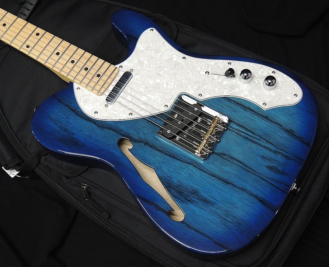 Amazon | FGN FUJIGEN NTE100MAHT SBB フジゲン Neo Classic SERIES
