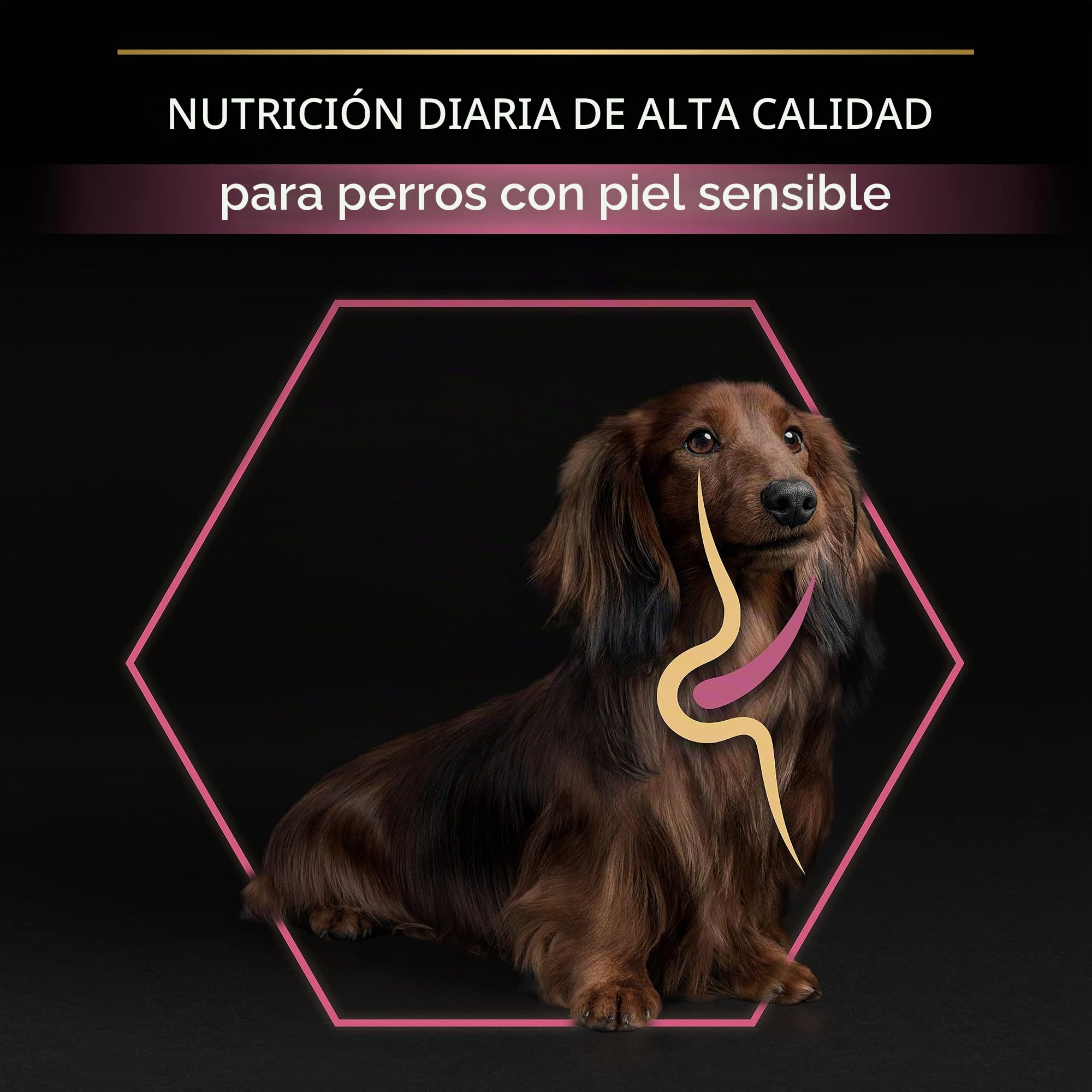 Purina Pro Plan Small Derma Pienso para Perro pequeño, Mini, Adulto, Piel y Pelaje con Salmón, 8 bolsas de 700g