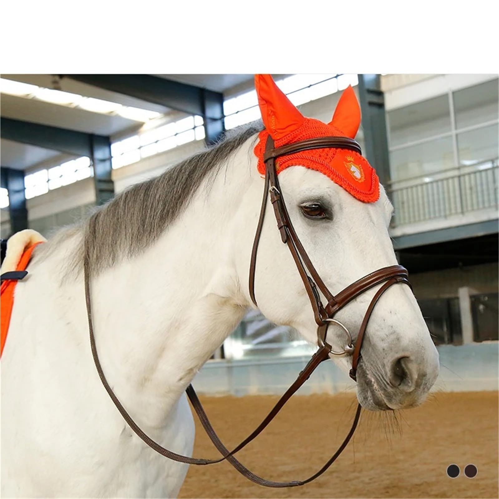 Riendas Color del Negro del Cuero del Freno de los Equipos ecuestres del Caballo de Montar con Las riendas de Goma