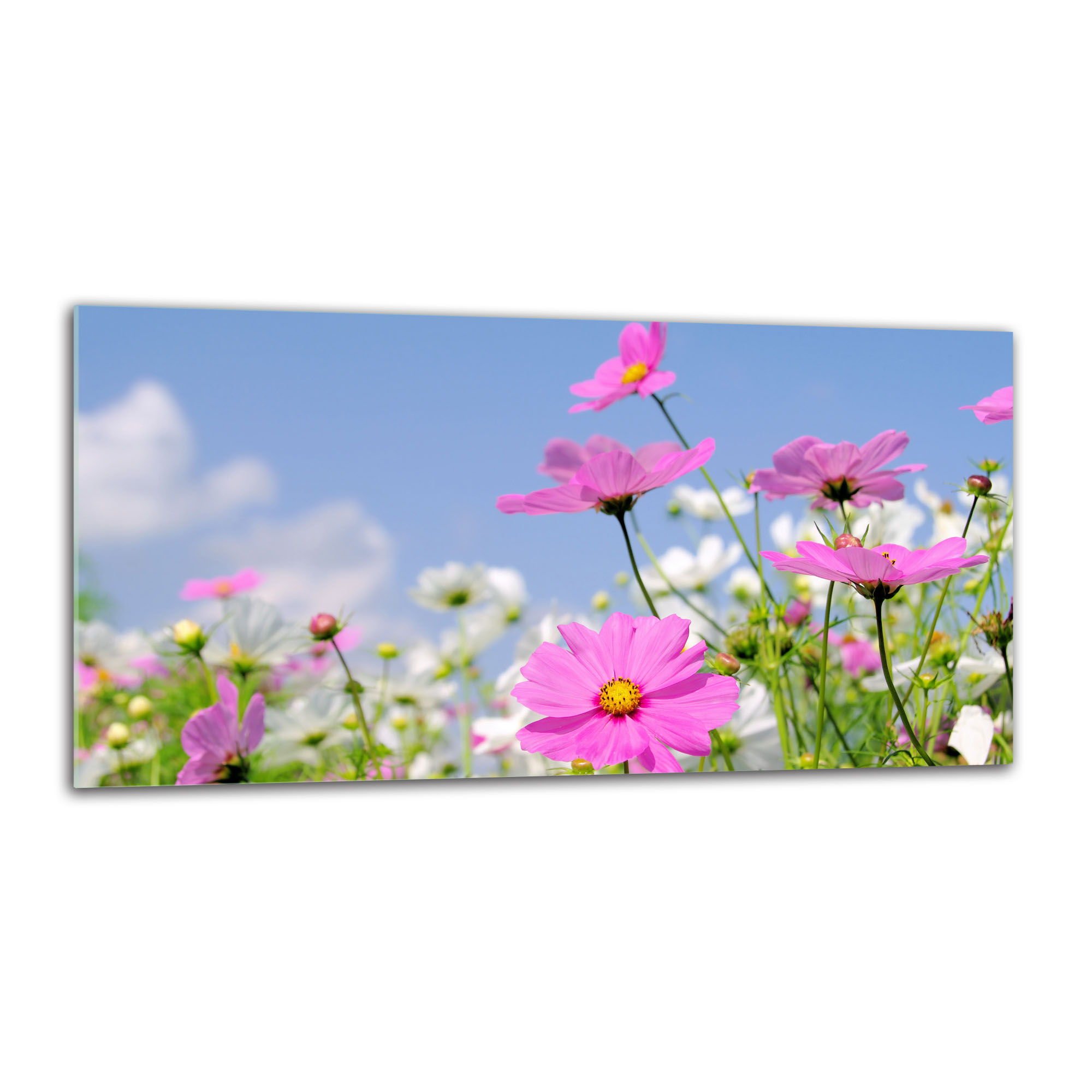 Decorwelt Küchenrückwand Aus Glas 80x40 Cm – Spritzschutz Für Herd & Spüle, Design Blume Violett