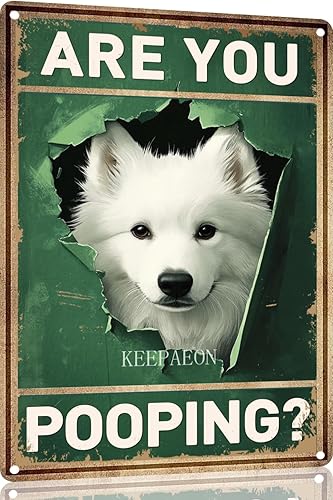 Miniatura 27 de Letrero de hojalata divertido con texto en inglés "Saint Bernard Dog Are You Pooping" para decoración de pared de baño, inodoro, 12 x 8 pulgadas