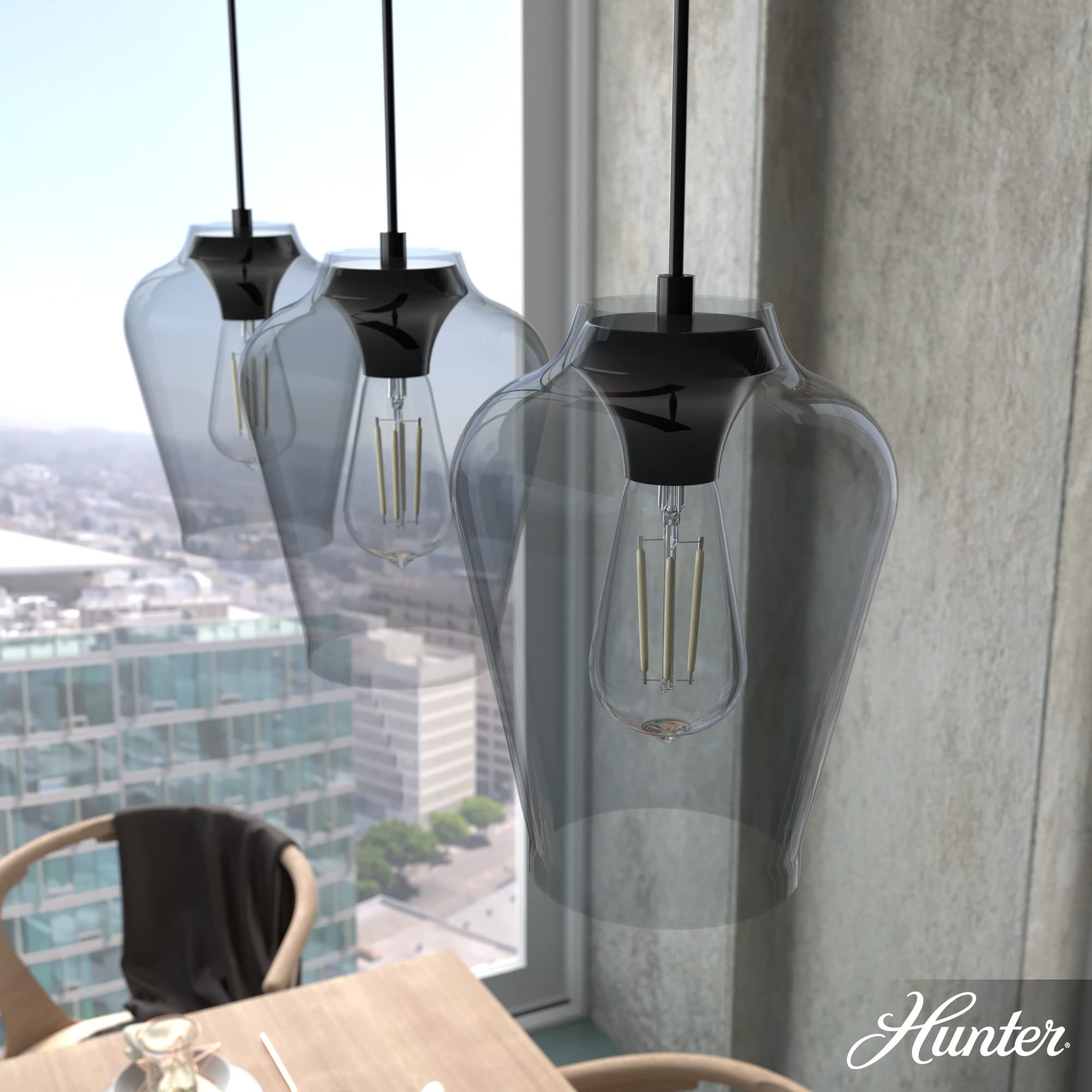 Hunter Fan Company 19726 - Collar de cristal, color negro mate