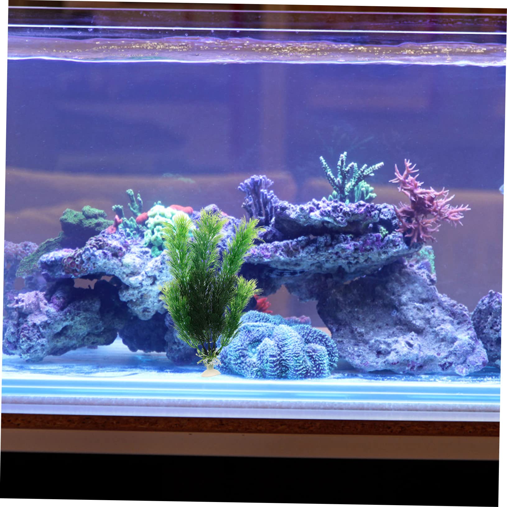 DOITOOL STK Aquarium Landschaftsbau Wasserpflanzen Kunstrasen Für Aquarien Künstliche Wasserpflanze Unterwasserpflanzen Fisch-Tanks Aquarium- Plastik Gras Für Aquarien 16c Anlage