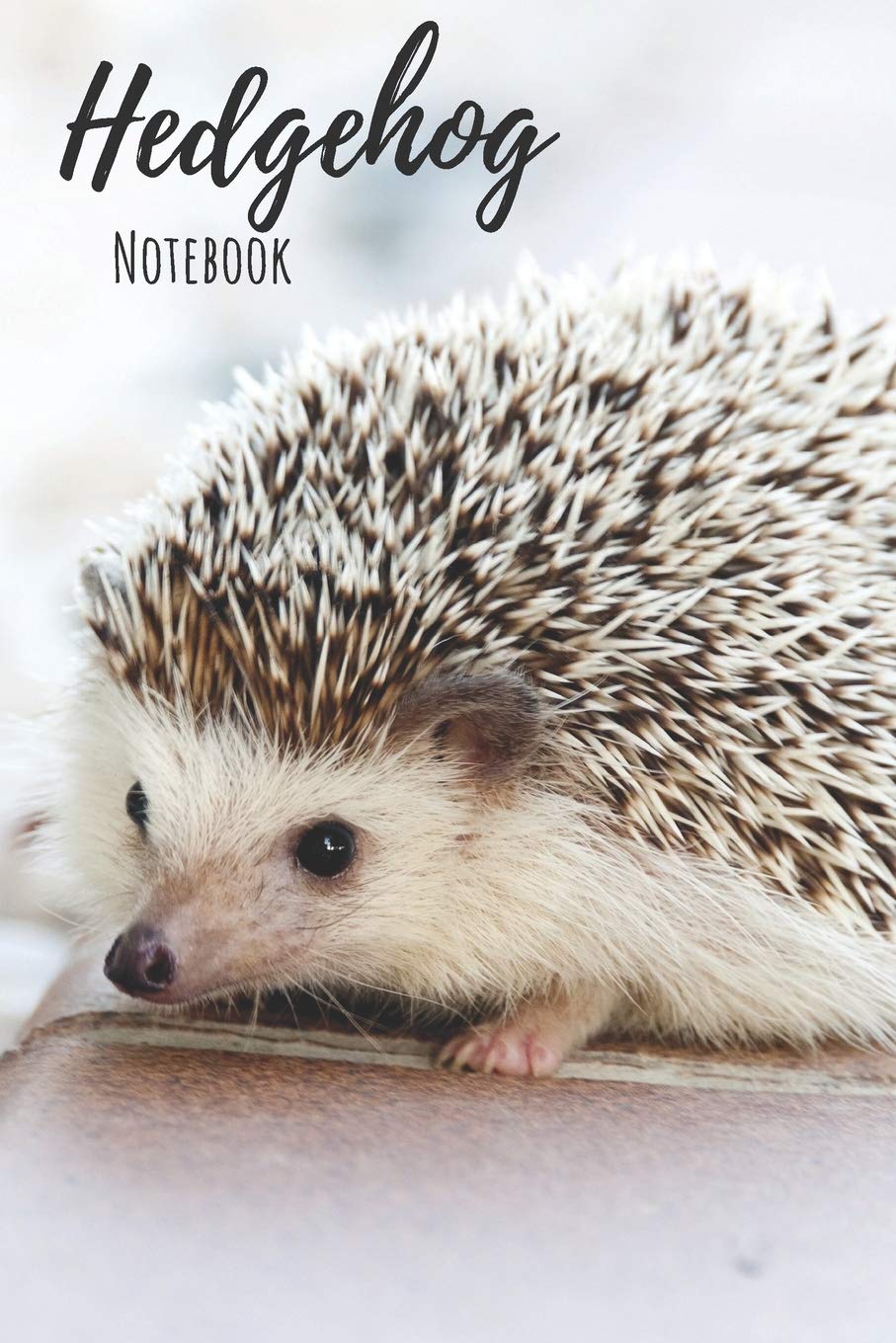 Hedgehog Notebook: 120 pages, 6"x9" - Cute Little Hedgehogs and Leaves College Ruled Notebook for Writing Notes... for Girls, Kids, School, Students and Teachers (Hedgehog Gifts)