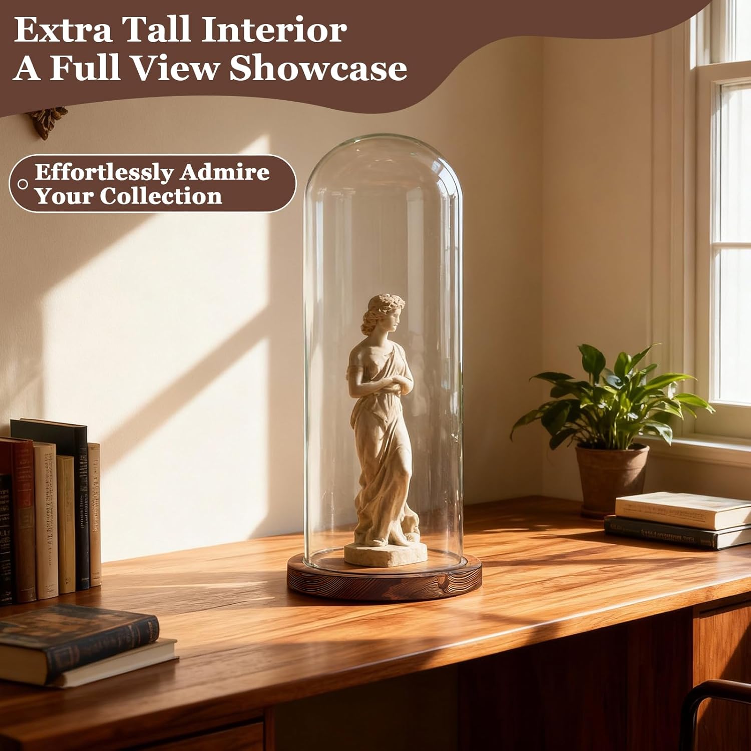 16 Inch Glass Dome Cloche Display with Wood Base, Clear Tall Glass Dome, the Bell Jar Clear Cloche for Plants, Curios, Keepsakes, Heirlooms