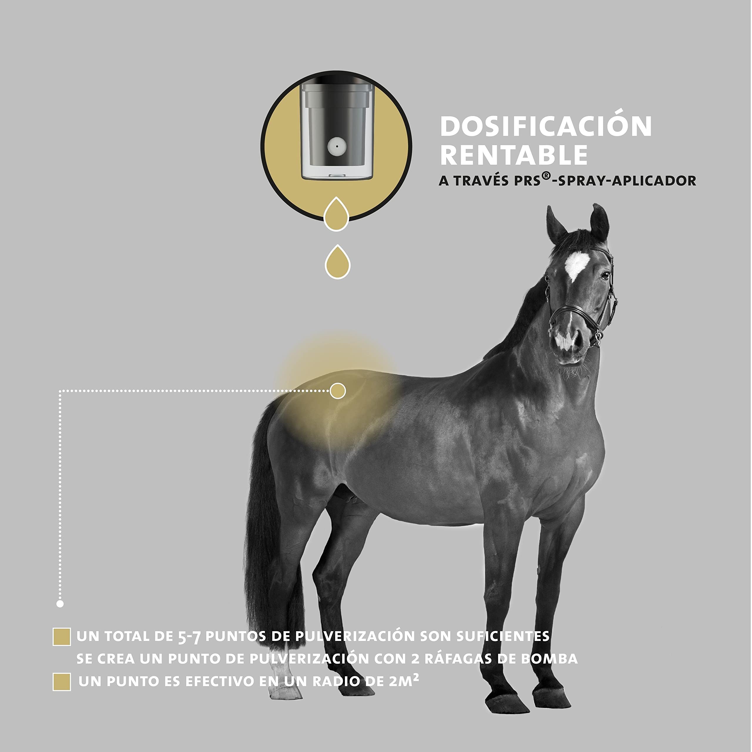 Peticare Spray contra la Mosca Negra para Caballos - prevenir eficazmente el Eczema de Verano, no más Manta Caballo Eczema, Detener los ataques - petAnimal Protect 2001
