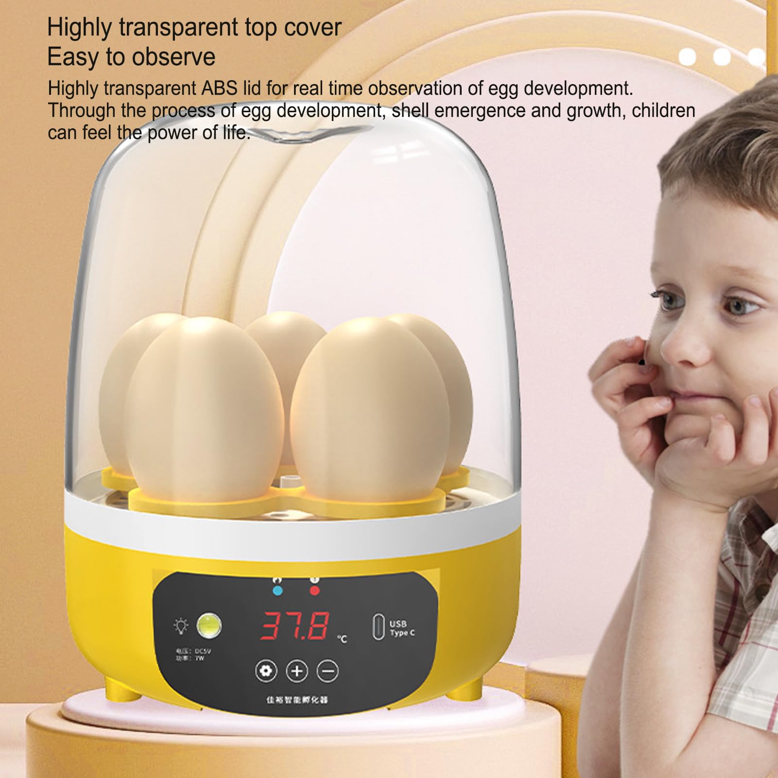 Acouto Mini Incubadora de Pollo, 6 Huevos Máquina de Eclosión de Aves de Corral con Automático de Huevos, Incubadoras Digitales de Control de Temperatura (automático)