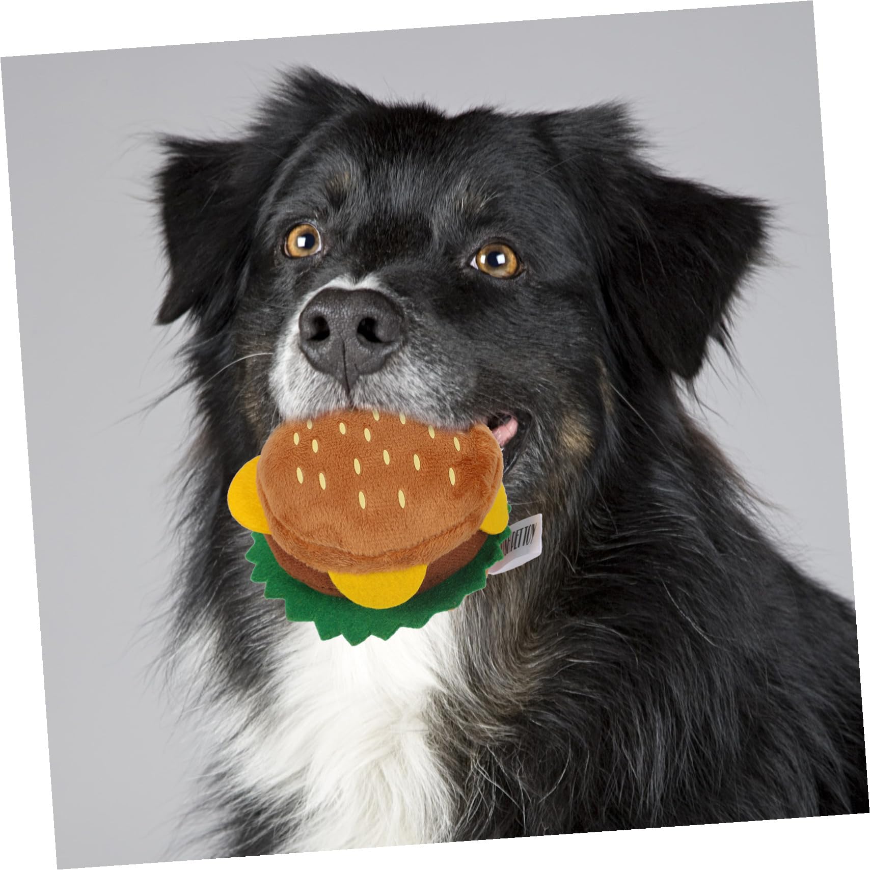 Healifty Couineur pour Chien en Peluche Résistant aux Morsures Design Imitation Nourriture, Interactif pour Chiots pour Jouer et Mâcher