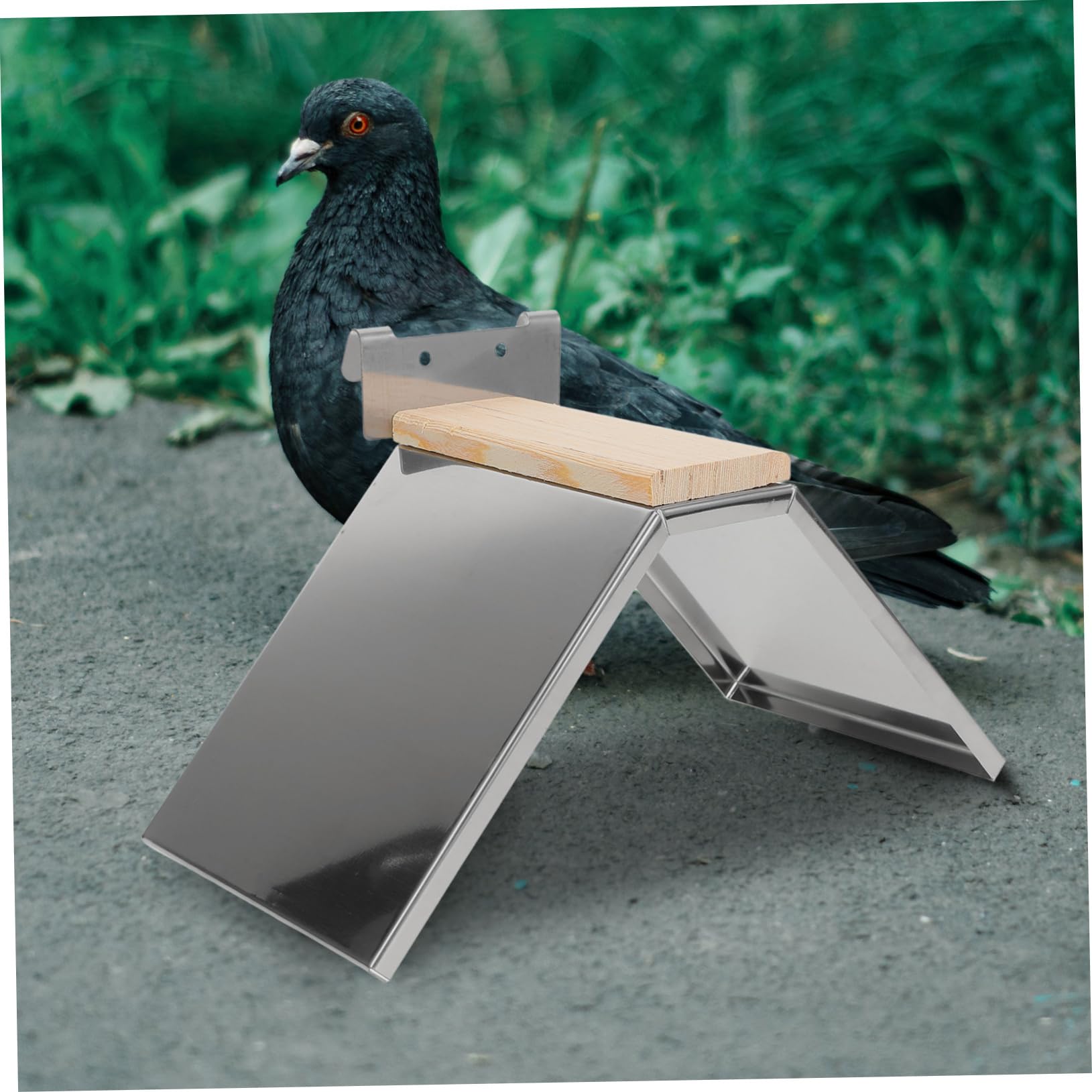 Sosoport 4piezas Soporte De Inoxidable para Aves Percha Resistente para y Pájaros Diseño Seguro y Cómodo para Periquitos y